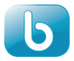 Logo Bluestone Technologie